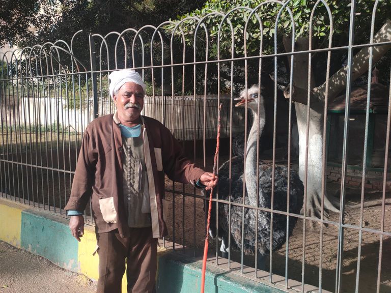 &laquo;جنينة الحيوانات&raquo;.. عودة الاسم التاريخي بعد تطوير حديقة الجيزة - صورة 1