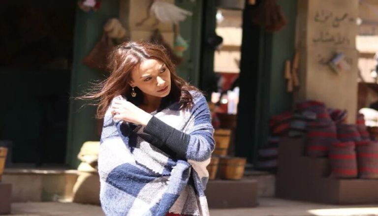 بعد إخلاء سبيلها.. تفاصيل مشاجرة الفنانة هالة سرور داخل منزلها في مصر - صورة 1