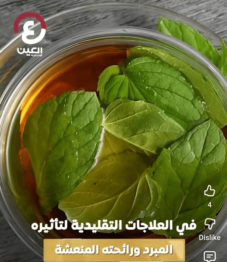 زلابية تُستخدم في الطب الصيني التقليدي - صورة 1