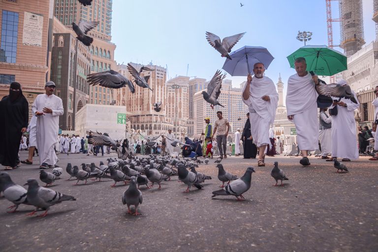 موعد الحج 2026 ووقفة عرفة رسميًا.. التفاصيل الكاملة - صورة 2