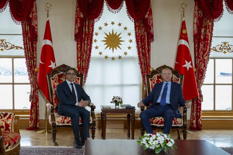 منصور بن زايد وأردوغان يبحثان تطورات الشرق الأوسط وتداعياتها - صورة 1