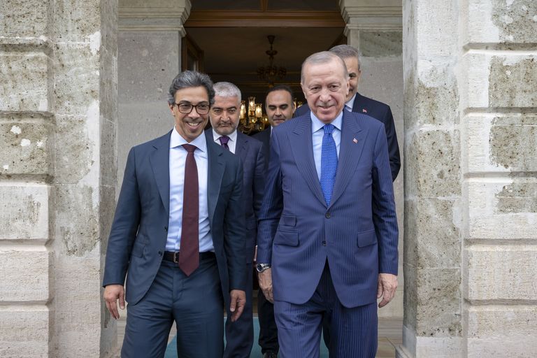 منصور بن زايد وأردوغان يبحثان تطورات الشرق الأوسط وتداعياتها - صورة 2