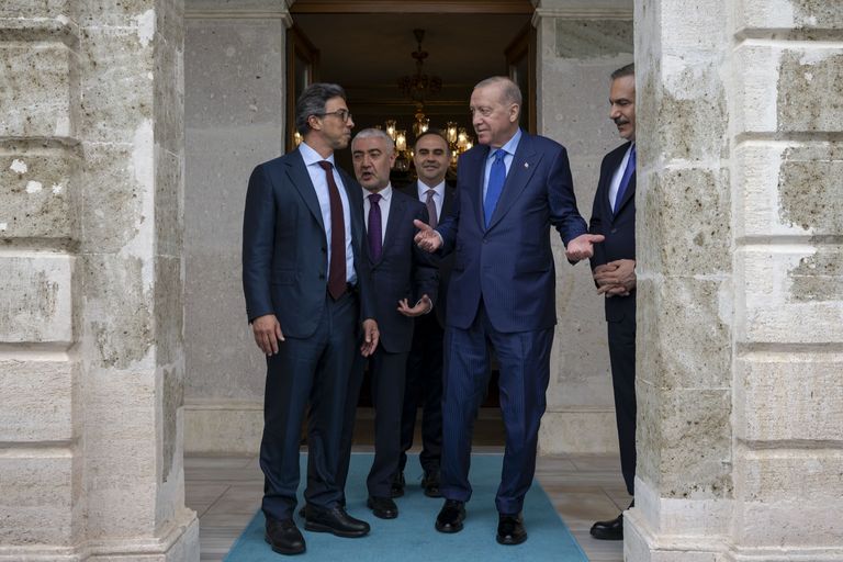 منصور بن زايد وأردوغان يبحثان تطورات الشرق الأوسط وتداعياتها - صورة 3