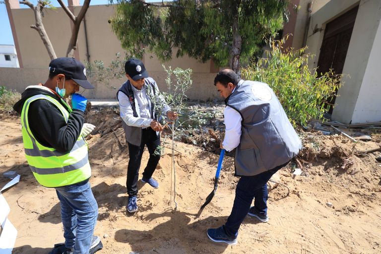 الإمارات تعيد الحياة لمجمع الشفاء.. غرس الزيتون يمحو دمار أكبر مستشفيات غزة - صورة 2
