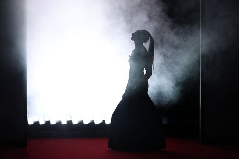 ضربة لفيلم الافتتاح و&laquo;تجربة مرعبة&raquo;.. يوم أول صاخب في مهرجان كان 2026 - صورة 6