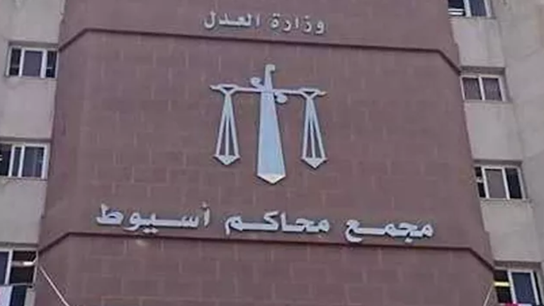 &laquo;الأم استعانت بمجهول&raquo;.. قرار قضائي عاجل في قضية &laquo;فتاتي أسيوط&raquo; بمصر - صورة 1
