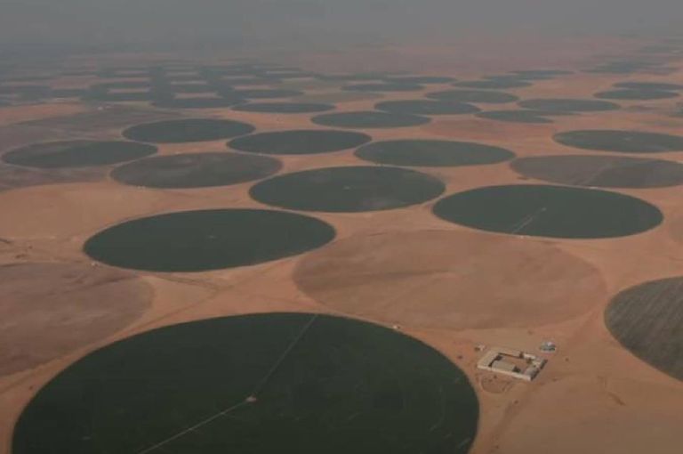لتعزيز الأمن الغذائي ودعم الاقتصاد.. تفاصيل مشروع الدلتا الجديدة بمصر - صورة 1