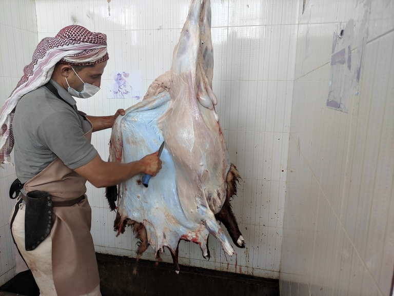 الاشتراك في الأضحية.. الأحكام الفقهية لتوزيع الحصص في عيد الأضحى - صورة 6
