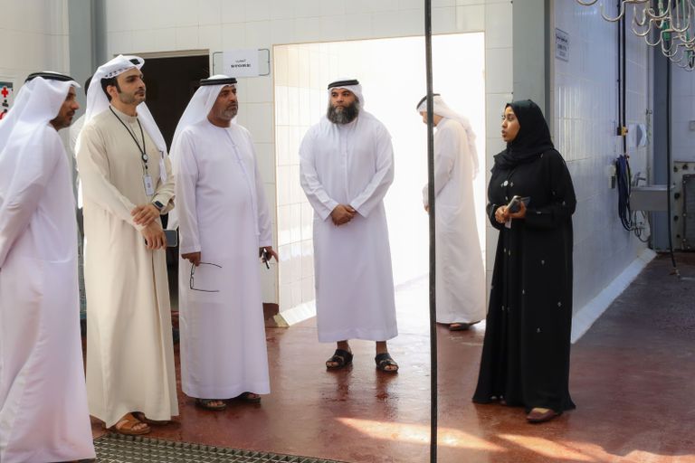 الإمارات.. العين ودبا الحصن تتزينان احتفاء بعيد الأضحى 2026 - صورة 1