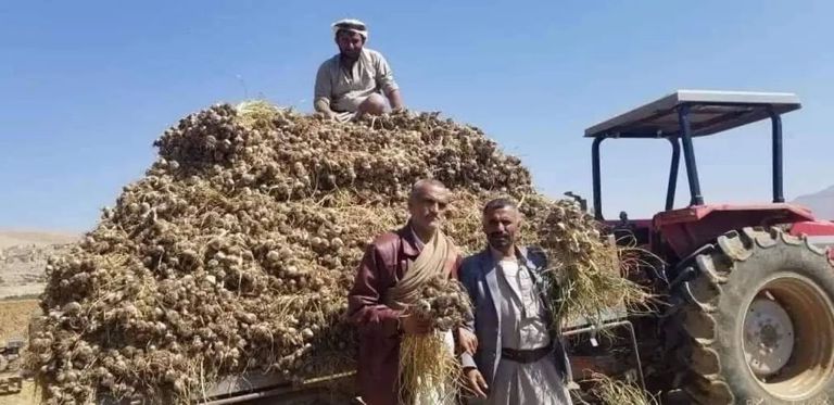 رفع أسعار الديزل في اليمن.. محنة جديدة ترهق المزارع والمستهلك - صورة 2
