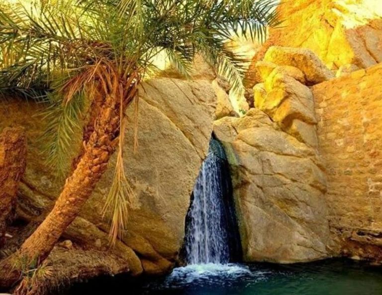 &laquo;قبلي&raquo; التونسية.. وجهة سياحية فريدة تتميز بمعالمها التاريخية والطبيعية - صورة 1