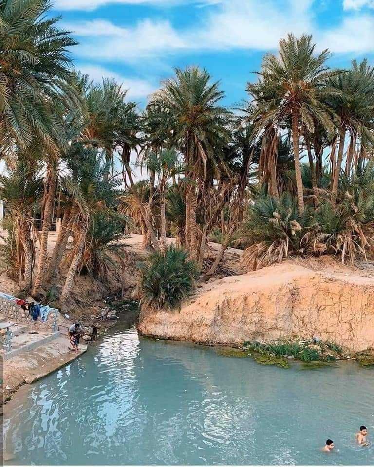 &laquo;قبلي&raquo; التونسية.. وجهة سياحية فريدة تتميز بمعالمها التاريخية والطبيعية - صورة 2