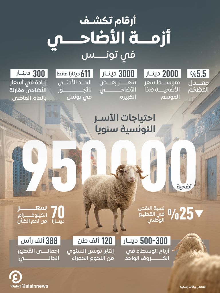 أرقام تكشف أزمة الأضاحي في تونس.. غلاء متصاعد وتراجع أعداد المواشي أرقام تكشف أزمة الأضاحي في تونس.. غلاء متصاعد وتراجع أعداد المواشي - صورة 1