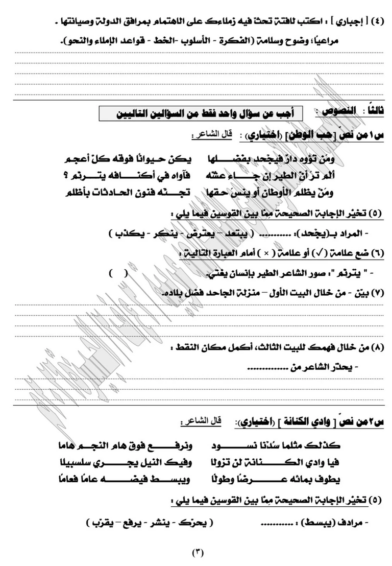 الشهادة الإعدادية 2026 في مصر.. تفاصيل النماذج الاسترشادية للغة العربية - صورة 3