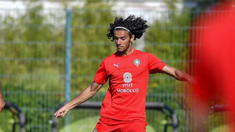 بعد سنوات من التردد.. 4 نجوم يدعمون &laquo;العرب&raquo; في كأس العالم 2026 - صورة 3