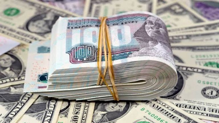 سعر الدولار اليوم في مصر الخميس 11 يونيو 2026.. توقعات صادمة - صورة 3