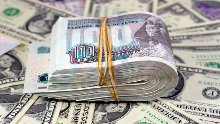 سعر الدولار اليوم في مصر السبت 13 يونيو 2026.. الجنيه مستقر - صورة 2