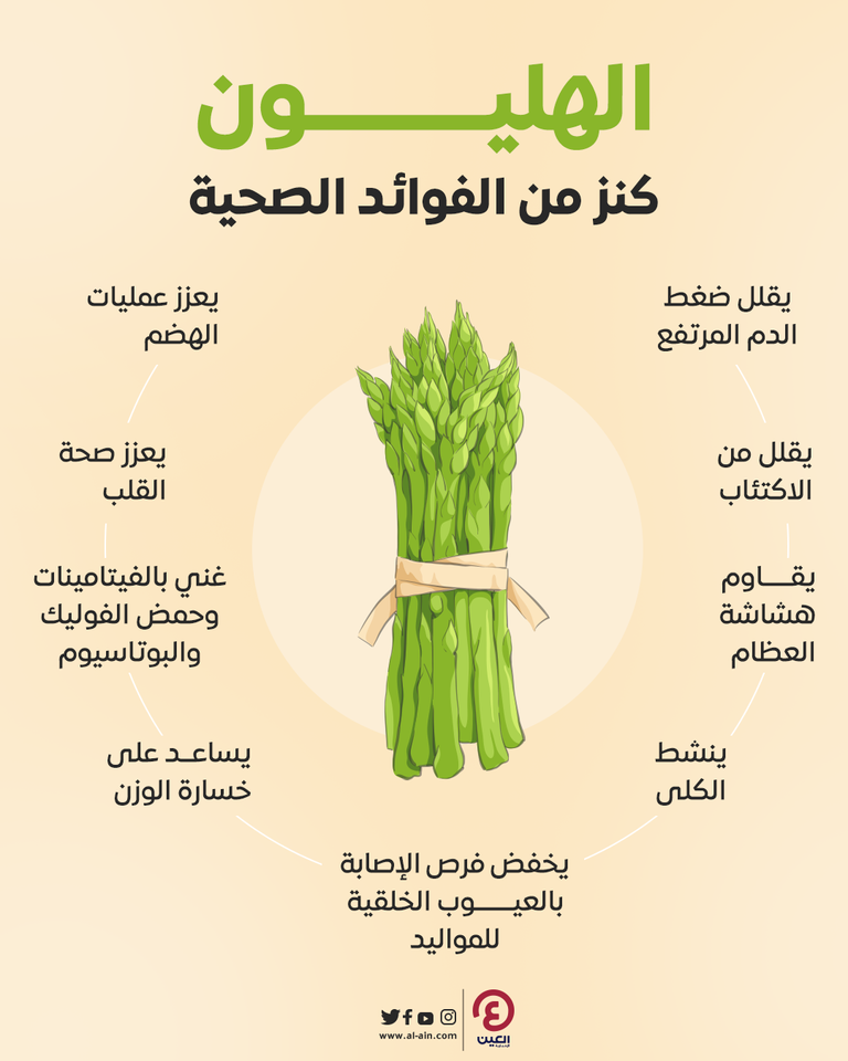 الهليون.. غذاء الحرب العالمية الثانية الذي عاد بقوة إلى موائد اليوم - صورة 3