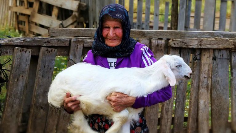 90 عاما في المراعي.. قصة تركية لم تغادر مهنة رعاية الماعز - صورة 1