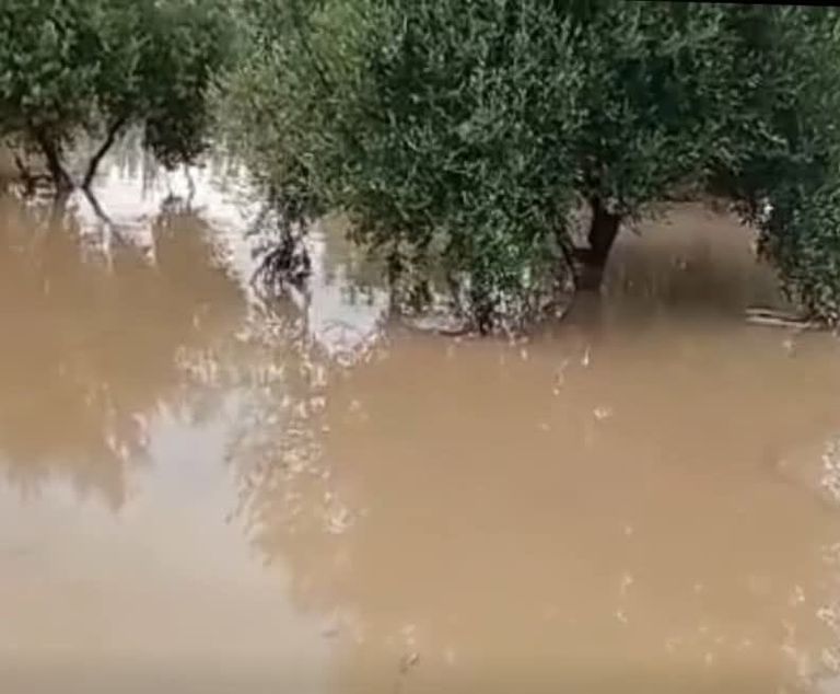 اضطرابات مناخية حادة في تونس.. حرارة وأمطار غزيرة وتحذيرات من تساقط البرد - صورة 2
