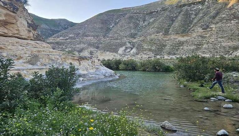 &laquo;سرية الأبقار&raquo;.. خطة إسرائيلية غير مألوفة لترسيم حدود الجولان - صورة 2