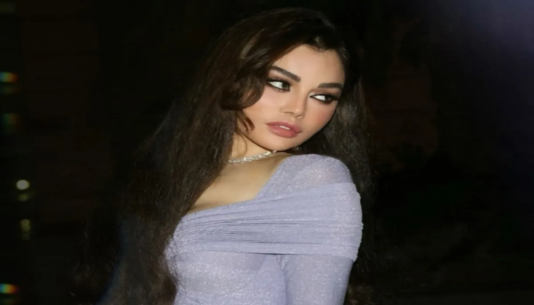 تأجيل نظر الدعوى.. تطورات قضية هيفاء وهبي ضد طبيب شهير في مصر - صورة 1