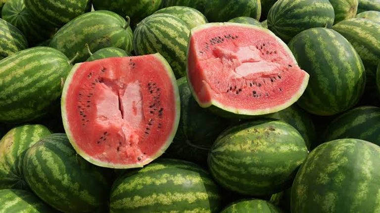 بعد نتائج الفحوص المخبرية.. حقيقة عدم صلاحية البطيخ الأحمر في الجزائر - صورة 1