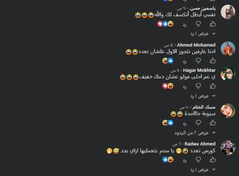8 دولارات لتعلم &laquo;تعدد الزوجات&raquo;.. إعلان يثير جدلا ساخرا - صورة 1