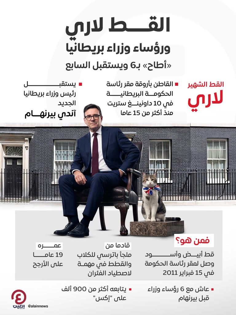 القط لاري ورؤساء وزراء بريطانيا.. &laquo;أطاح&raquo; بـ6 ويستقبل السابع - صورة 1