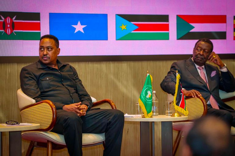 مبعوث &laquo;إيغاد&raquo; يكشف أهداف الاجتماع الثالث للمبعوثين الدوليين المعنيين بالسودان (خاص) - صورة 2