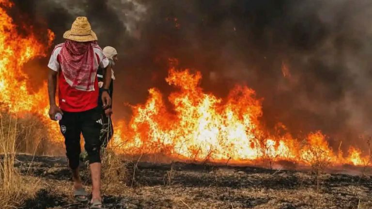 حرائق الغابات تضرب الجزائر.. 6 قتلى والسلطات تستنفر لمواجهة النيران - صورة 1