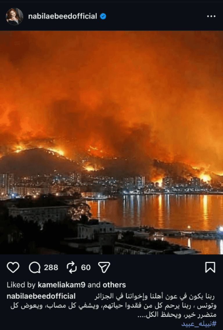 نبيلة عبيد تتضامن مع الجزائر وتونس بعد الحرائق: حفظ الله الشعبين - صورة 1