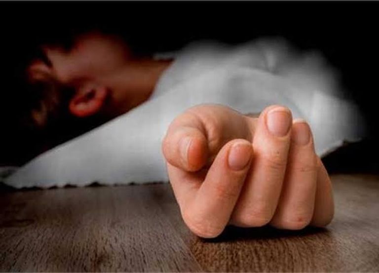 محامية الإسكندرية في مصر.. دفاعها يكشف تفاصيل حياتها قبل القضية - صورة 1