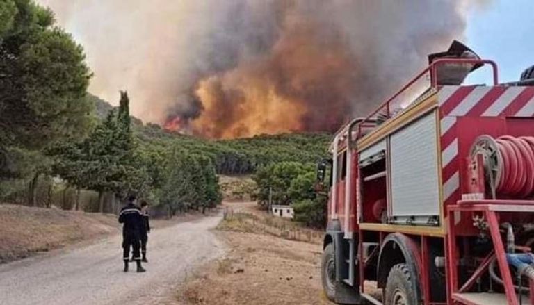 تونس تسجل 900 حريق خلال 3 أيام وسط حر شديد - صورة 2