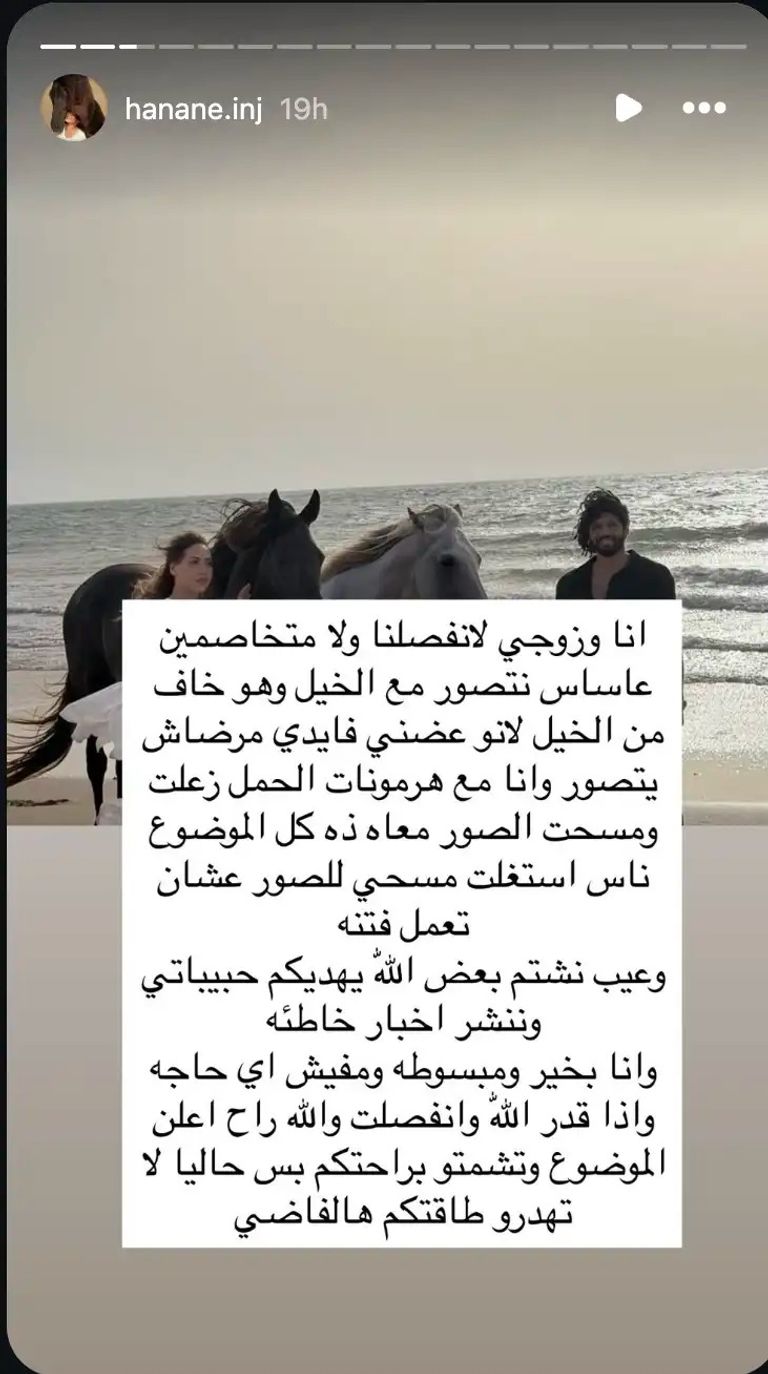 بسبب &laquo;عضة حصان وهرمونات حمل&raquo;.. حقيقة طلاق محمد النني من زوجته - صورة 1