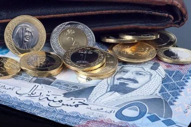 سعر الدولار اليوم في مصر الأحد 26 يوليو 2026.. الجنيه يتماسك - صورة 2