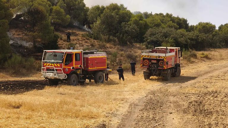النيران تحاصر الغابات الجزائرية.. جهود مكثفة لاحتواء أسوأ 12 بؤرة تواصل الاشتعال - صورة 1