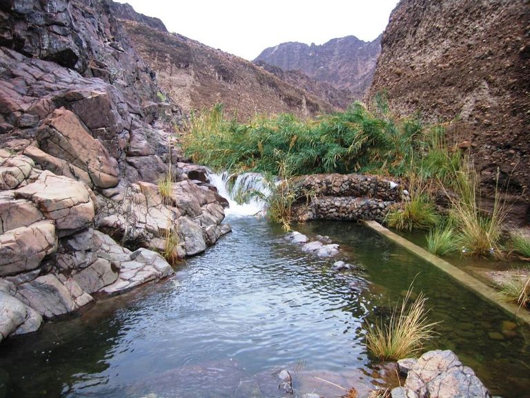 من اليونسكو إلى الإيسيسكو.. الإمارات تعزز حضورها في قوائم التراث - صورة 1
