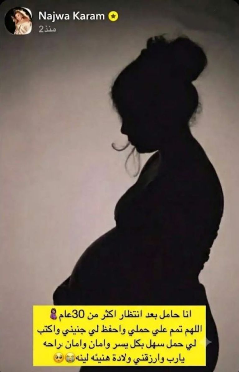 حقيقة حمل نجوى كرم.. صورة متداولة تشعل الجدل والرد الرسمي غائب - صورة 1