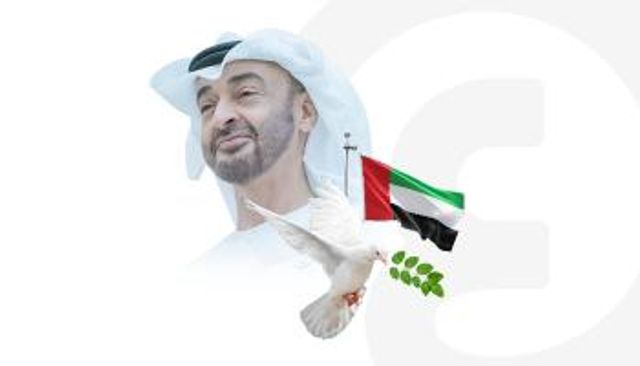 الإمارات تسعى لتصفير أزمات المنطقة