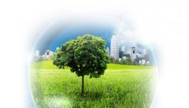 التعافي الأخضر الطريق لعبور الجائحة