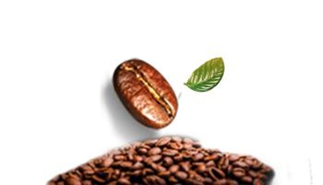 مليارات الدولارات في سوق القهوة 