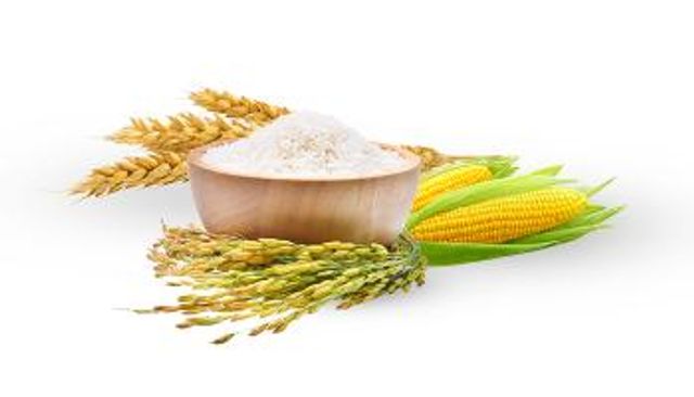 تبخر 63 مليار دولار.. الأوزون يحرق 3 محاصيل آسيوية