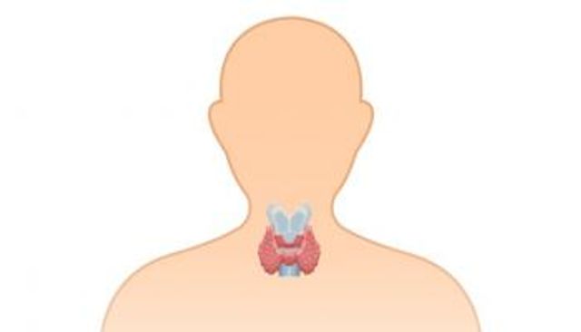 إنفوجراف.. أطعمة مهمة لصحة الغدة الدرقية