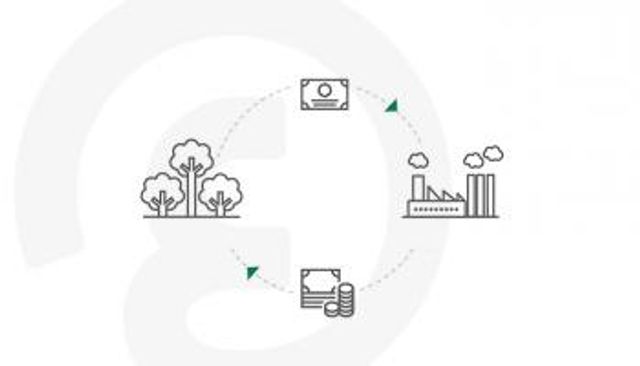 الصندوق السيادي السعودي يطلق شركة سوق الكربون الطوعي