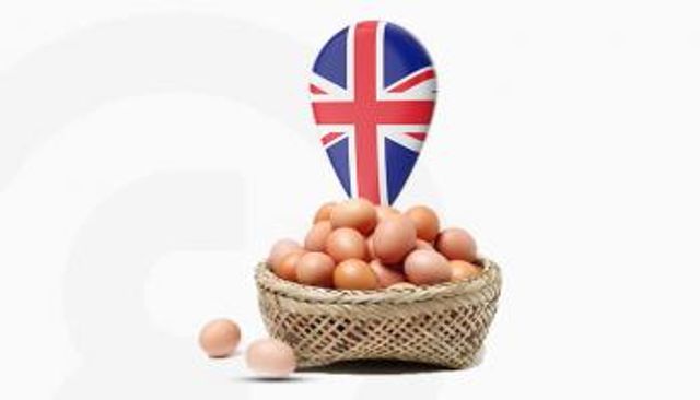 أزمة البيض تتفاقم في بريطانيا