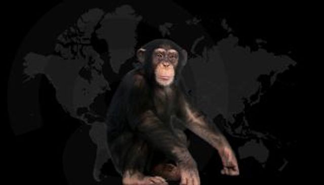 جدري القرود