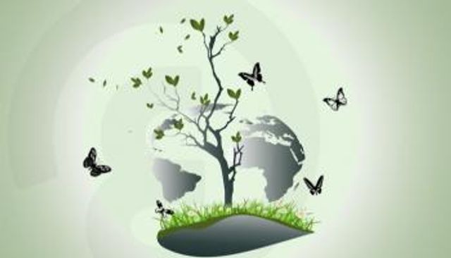 اليوم العالمي للبيئة