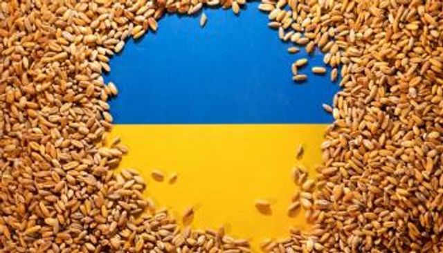 العلم الأوكراني مغطى بالحبوب