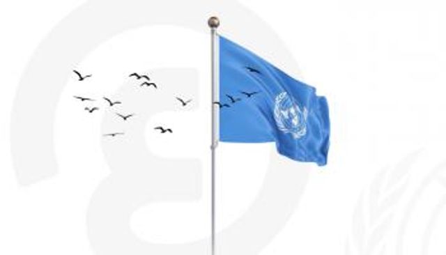 علم الأمم المتحدة